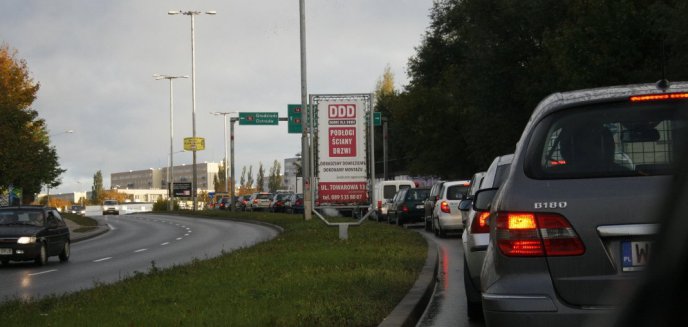 Nie baba, nie dziki, a korek!