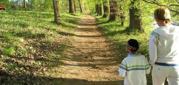 Nad Jeziorem Długim powstanie ścieżka zdrowia