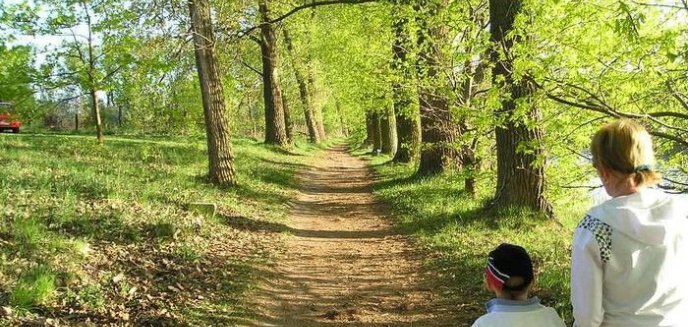 Olsztyn - miasto betonu?