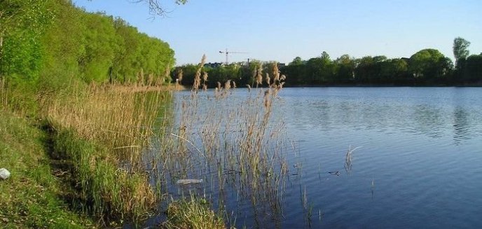 Miasto wyjaśnia sprawę ''betonowych ścieżek''