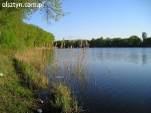 Miasto wyjaśnia sprawę ''betonowych ścieżek''