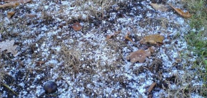 Spadł pierwszy śnieg tej jesieni