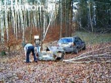 Leśny monitoring zarejestrował kradzież drewna