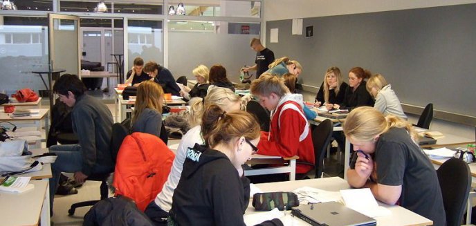 Studenci OSW nie próżnują