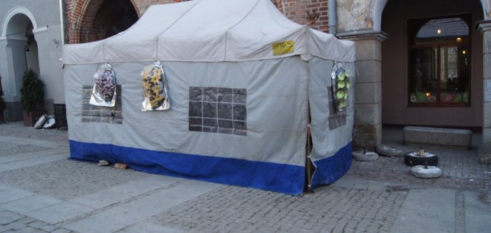 Przetrwali najtwardsi