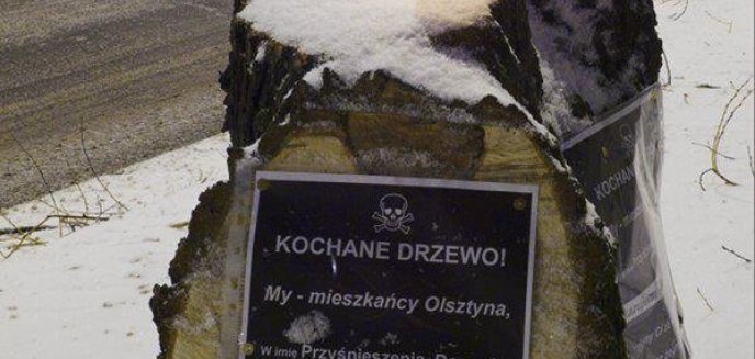 Wycinka drzew przy alei  Warszawskiej - społecznicy protestują