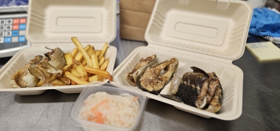 Smażalnia ryb i frytek-food truck-skylight