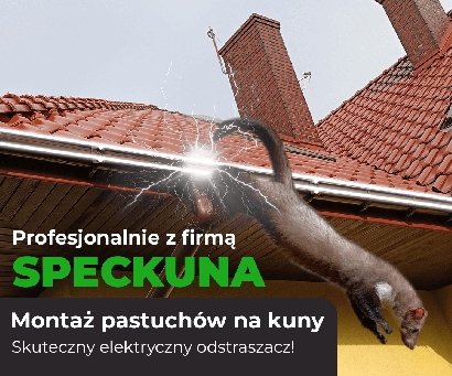 JJK USŁUGI BUDOWLANE KONRAD ŚWIĄTEK
