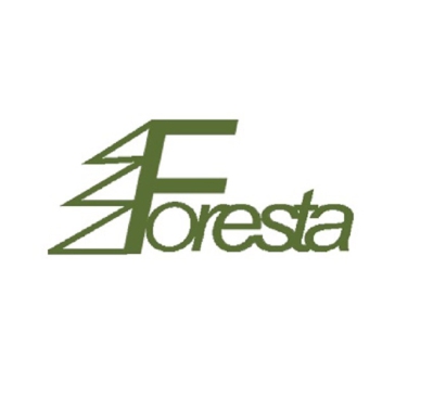 Foresta Place Zabaw