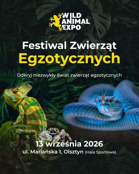 Wild Animal Expo - Festiwal Zwierząt Egzotycznych Olsztyn 13-08-2026 - Olsztyn