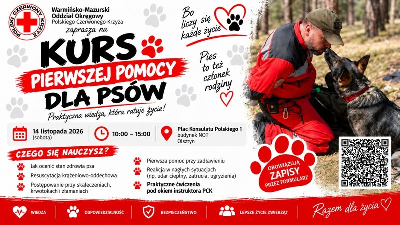 Kurs pierwszej pomocy dla psów - Olsztyn